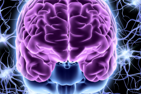 Neurology
